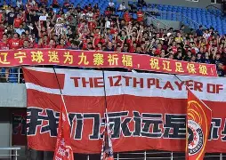 鲁能与大连人的比赛结果