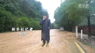 鲁能与大连人的比赛结果